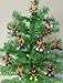 WWE Wrestling Set of 10 Wrestler Holiday Christmas Tree Ornaments Featuring RANDOM 2