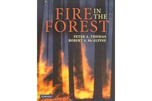Fire in the Forest