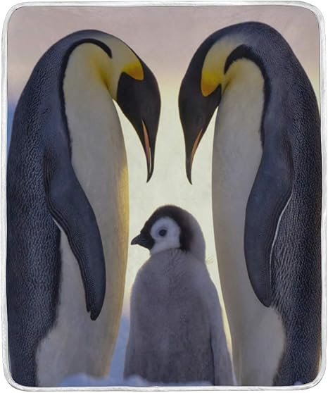 Amazon Com Cute Penguin Family Soft Warm Throw Blankets Lightweight Velvet Short Plush Microfiber Blanket For Bed Couch Chair Sofa Travelling Camping 50 X 60 Home Kitchen
