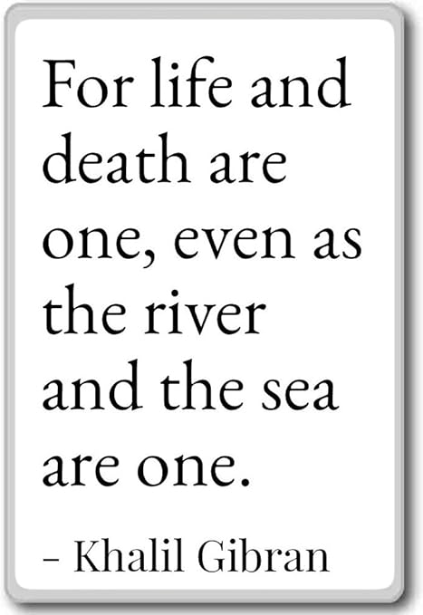 Per La Vita E Morte Sono One Anche Come Il Fiume Khalil Gibran Citazioni Frigorifero White Amazon It Casa E Cucina