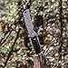 Kizer Cutlery Folding Pocket Knives Flipper Knife Drop Point Blade Titanium Handles Tactical EDC Knife, Dirk Pinkerton Escort Ki4481