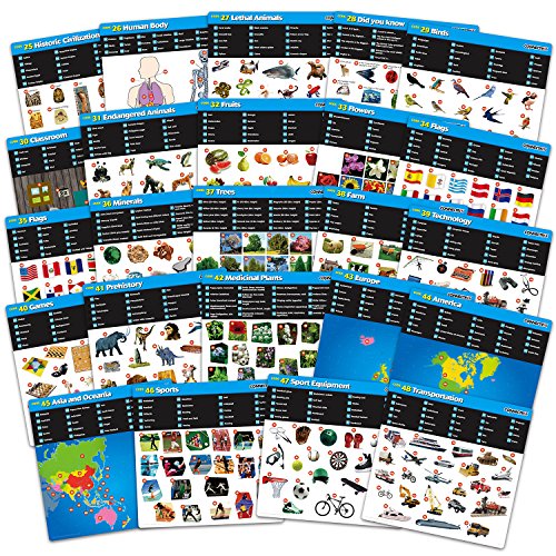 Best Learning Connectrix