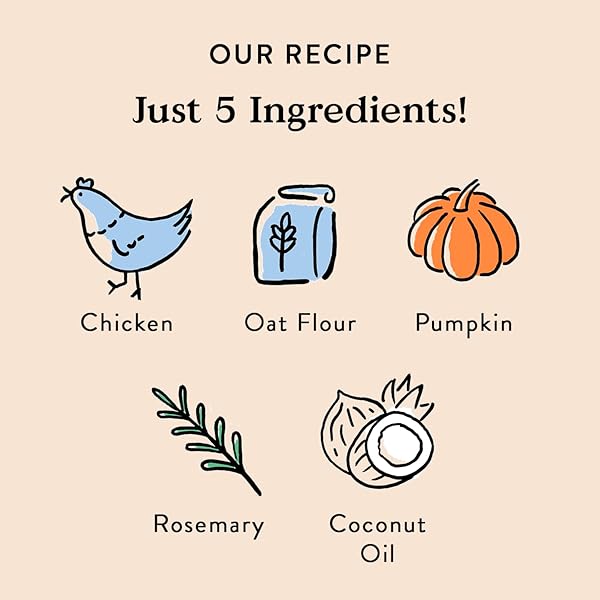 BOCCE’S BAKERY OVEN BAKED SUNDAY ROAST TREATS FOR DOGS, EVERYDAY WHEAT-FREE DOG TREATS, MADE WITH REAL INGREDIENTS, BAKED IN THE USA, ALL-NATURAL CHICKEN & PUMPKIN BISCUITS, 5 OZ