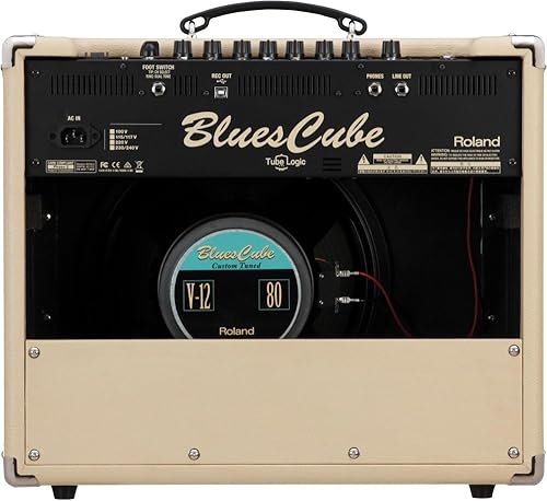 Roland Blues Cube Stage