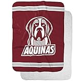 Aquinas College Saints Primary Logo Stripes Sherpa