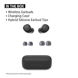 Sony WF-C510 Truly Wireless in-Ear Bluetooth Earbud
