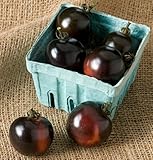 Indigo Rose Tomato - 20 Seeds - The Darkest Tomato in the World