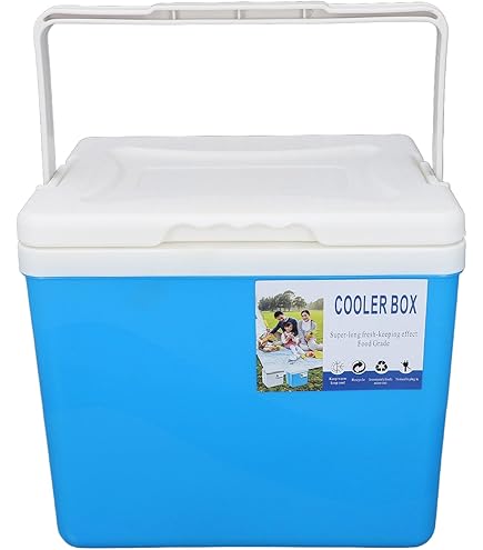 Car Cooler 3L Insulated Portable Cooler Compact Classic Series