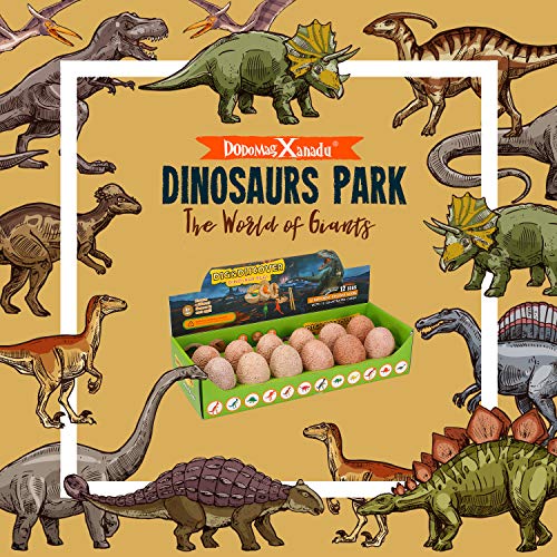Dino Egg Dig Kit-12 Dinosaur Eggs Dino Egg Excavation Kit for Dinosaur Birthday Theme Party Science STEM Toys Easter Paleontologist Gift Preschool Educational Toys for Boys Girls Kids - Thumbnail 6