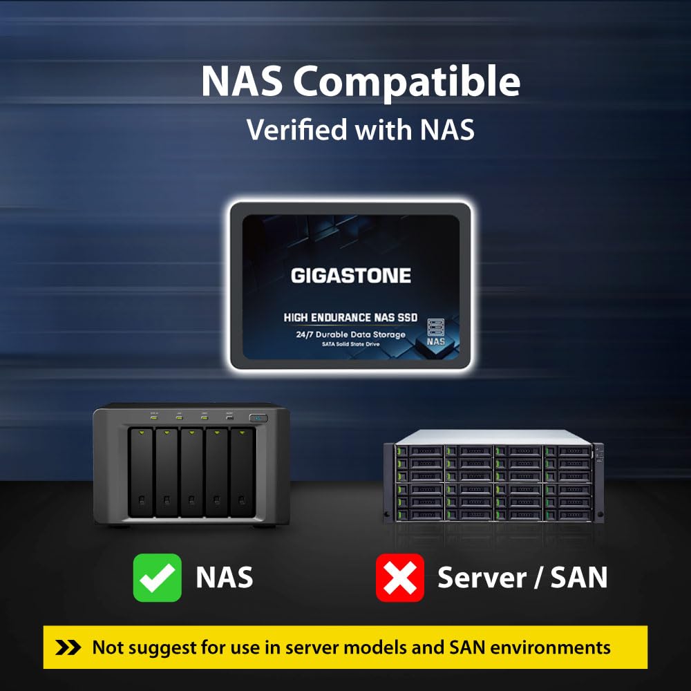 Gigastone 1TB NAS SSD Drive (2-Pack) 24/7 Durable TLC High Endurance RAID Data Storage Network Attached Storage 2.5