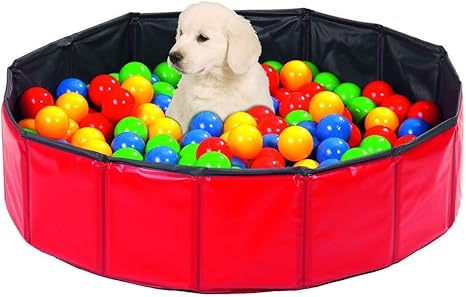 perros pool 80 cm con 250 pelotas bolas