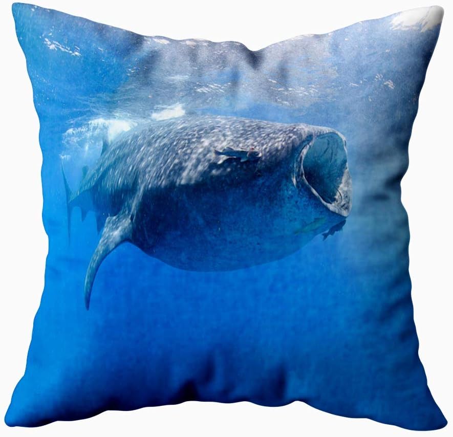 Musesh Decorative Throw Pillow Case, Baby Pillows Covers Whale Sharks Swimming Blue Waters Mexico Mujeres 20X20 Inches Indoor Outdoor Pillowcases for Sofa Home Bed