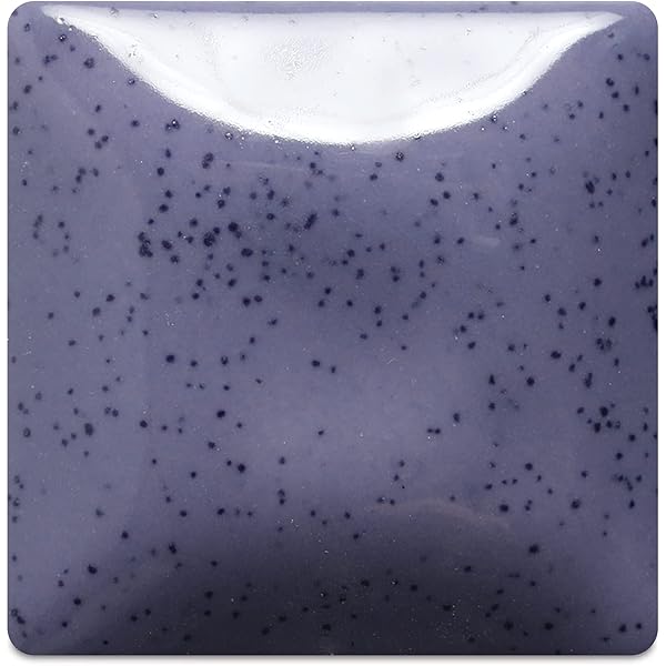Amazon.com: Mayco Speckled Stroke and Coat Glaze - SP210