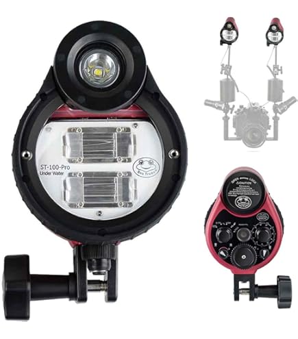 Amazon.com: Sea & Sea YS-03 Solis Universal Lighting System