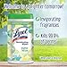 Lysol Disinfecting Wipes, Country Breeze Scent, Brighter Horizon, 480ct (6X80ct)