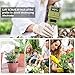 Jellas Soil Moisture Meter, 3-in-1 Soil pH Meter Moisture Sensor Sunlight pH Soil Test Kits for Home and Garden, Indoor/Outdoor Plants - Olive Green