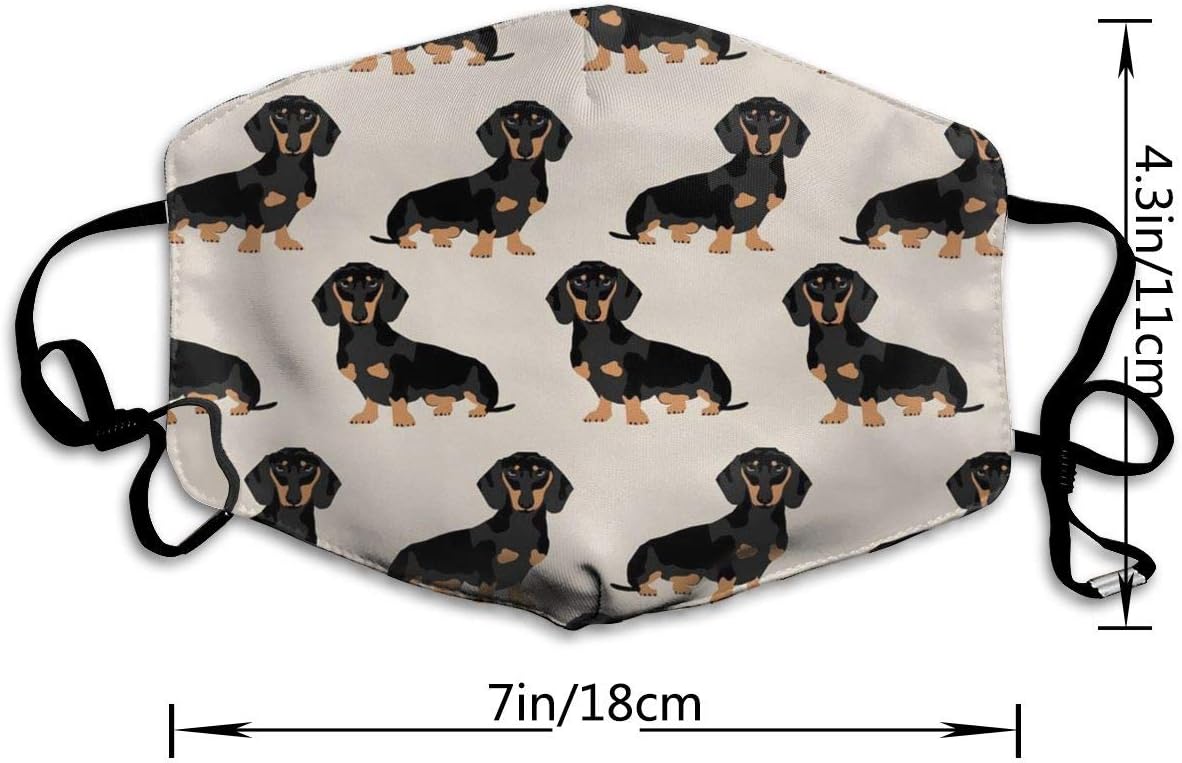 weiner dog in airplane