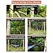 ARAER Portable Double Camping Hammock with Hammock Bug Net, 660 Pounds Capacity, Sturdy Tree Straps, Easy to Setup, Compact, Lightweight for Outdoor Backpacking, Camping, Indoor Garden, Yard