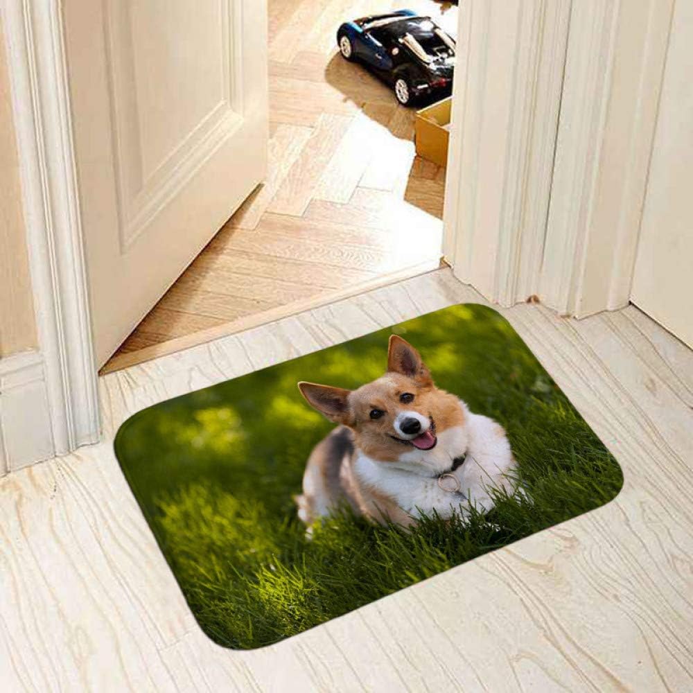 KFEKDT Cute Animal 3D Printed Doormat Bathroom Kitchen Carpet Nordic Home Decoration Non-Slip Floor Carpet A2 40cmx60cm
