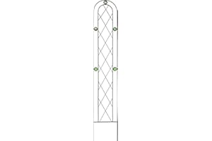 Arcadia Garden Products TR02 Arched Garden Trellis, 5' x 10", Black