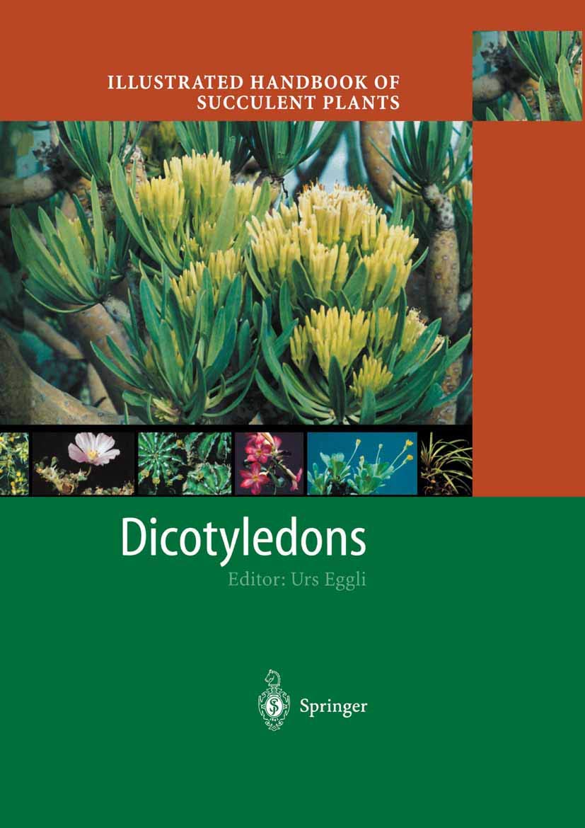 Amazon Com Illustrated Handbook Of Succulent Plants Dicotyledons Eggli Urs Books Amazon Com Illustrated Handbook Of Succulent Plants Dicotyledons Eggli Urs Books