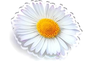 BOGGBEANS Flower Charms for Bogg Bag, Simply Southern Totes, and Similar Styles. Acrylic 3" Flower Charm Accessories for Beach Totes