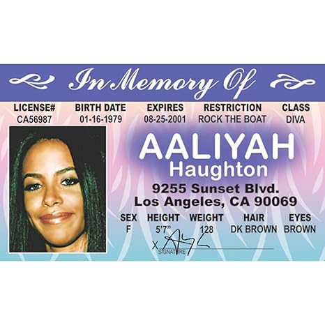 Signs 4 Fun Nroidy Aaliyah S Driver S License Amazon In Home