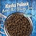 Venture Alaska Pollock Meal & Pumpkin Limited Ingredient Dry Dog Food
