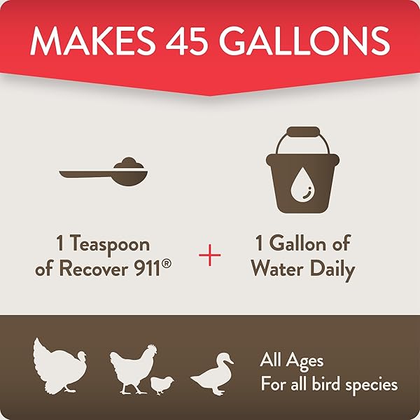 FLOCKLEADER RECOVER 911, SEVERE STRESS PROBIOTIC WATER SUPPLEMENT FOR CHICKENS WITH ELECTROLYTES, PREBIOTICS & OREGANO, MOLTING, EXTREME WEATHER, AND PREDATOR ATTACK SUPPORT, 8 OZ