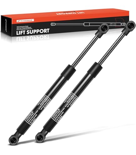 Amazon.com: AUTOPA 51248227895 Trunk Lid Lift Support Struts