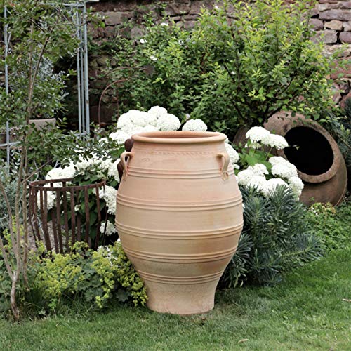 Palatina-Keramik | XXL Amphore aus Terracotta | 100 cm | frostfest | mediterrane Pflanzgefäße Pflanzkübel für Garten Terrasse Balkon Außenbereich Thymus 100 cm – Bild 8