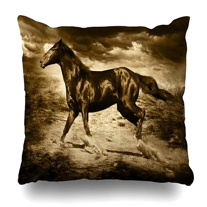 Amazon Com Ahawoso Throw Pillow Cover Lifting View Horse Bay