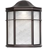 Forte 17104-32 LED Outdoor Light, Bronze