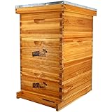 10-Frame Langstroth Beehive Dipped in