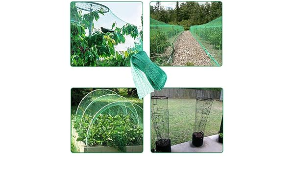 YUNZI Red de protección para pájaros, para Plantas de jardín ...