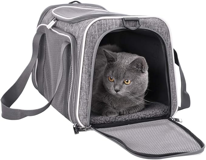 pet carrier top load