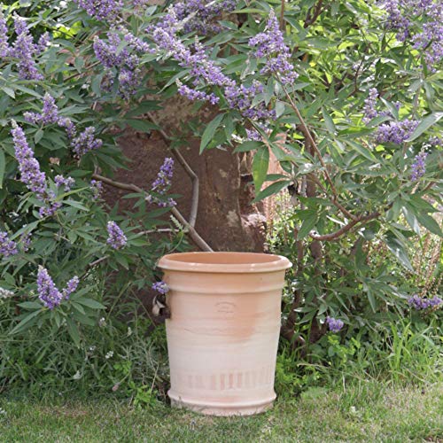 Kreta Keramik frostfester handgefertigter Terracotta Blumentopf, Pflanzkübel, Pflanzgefäß zum Bepflanzen für den Innen… – Bild 4