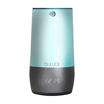 bluetooth speaker and alexa