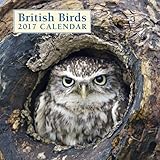 Image de 2017 Calendar: British Birds