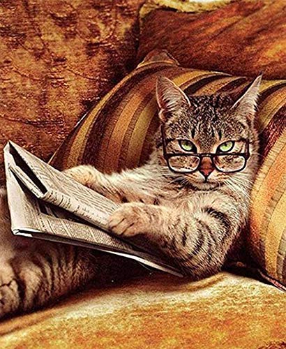 NAIMOER DIY 5D Diamond Painting Kits, Cat Reading Book Full Drill Diamond Art Crystal Rhinestone Embroidery Arts Craft for Wall Decor 11.8x15.7 Inch — image 1
