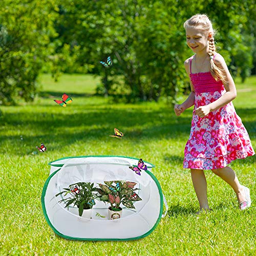 6 Pllieay+Butterfly+Collapsible+Light+transmitting+Activities