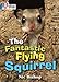 The Fantastic Flying Squirrel: Band 04/Blue (Collins Big Cat)