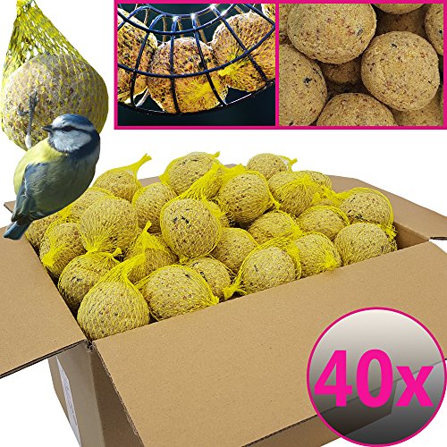 Netted Fat Balls For Wild Birds 40 Balls 3 6 Kg Natural Food