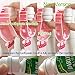 BigNoseDeer Baby Toothbrush Dispensers,Kids Hands Free Toothpaste Dispenser Children Automatic Cartoon Cute Animal Toothpaste Squeezer Good Gift for Children (Panda)