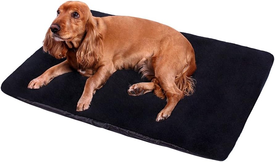 ANIMALY LAMA pet bed, bed for a dog, bed for a cat, dog playpen, cat playpen, travel bed, anti-allergic playpen for pets, universal bed for a dog or cat (L - 100 x 70 cm, Black)