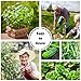 Grannys Garden Heirloom Vegetable Seed Collection - 15 Varieties Non-GMO Heirloom Beet Carrot Cucumber Basil Kale Lettuce Melon Onion Pea Pepper Squash and Tomato Seeds by Sustainable Seed Company