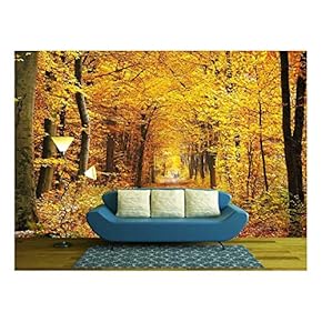 Road in The Autumn Forest