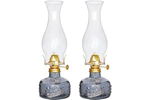 SYOENK 2 Pcs Chamber Oil Lamps for Indoor Use, Carving Flower Glass Kerosene Lamp Home Decorative Color Hurricane Lamp Oil Lantern Classic Vintage Clear Oil Lamp for Tabletop Decor Lighting