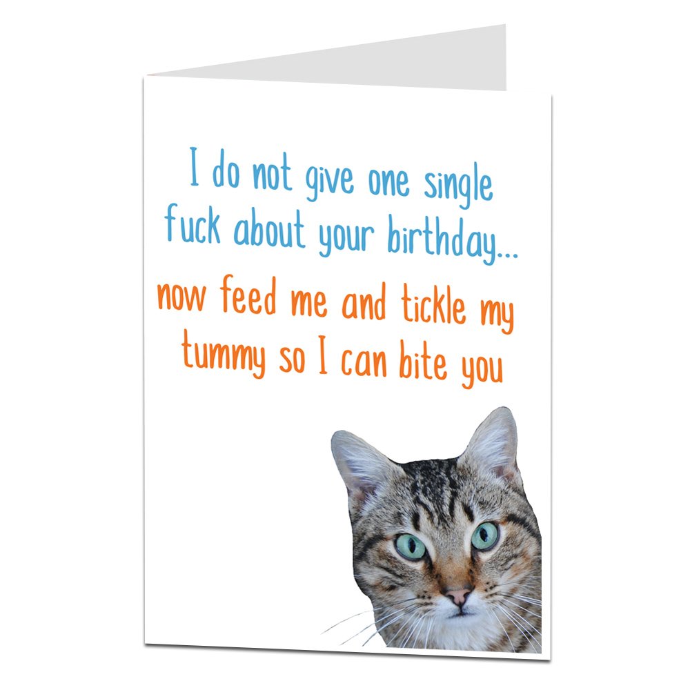 Happy Birthday Card from The Cat for The Pet Lover