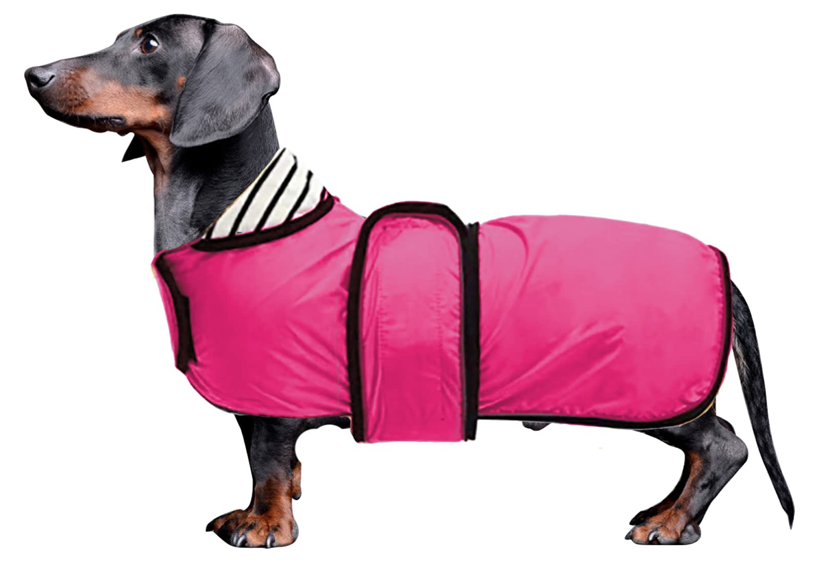 Morezi Dachshund coat miniature dachshund coats fit for dachshunds sausage dog rain coat with reflective stripe adjustable bands in autumn winter - Pink - M
